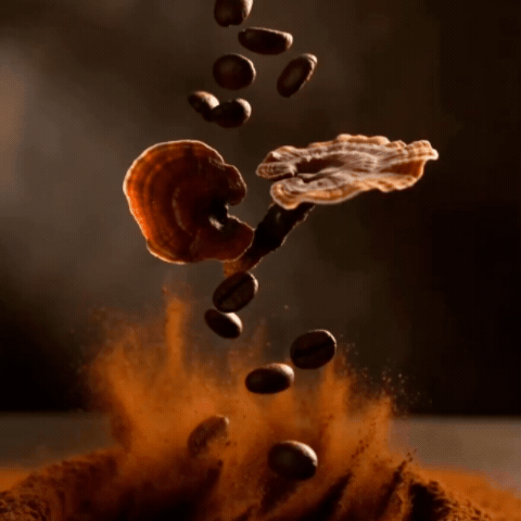 Crafted With Reishi Mushroom